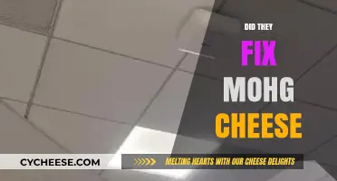 Mohg Cheese Fix: What's Changed and How It Affects Players