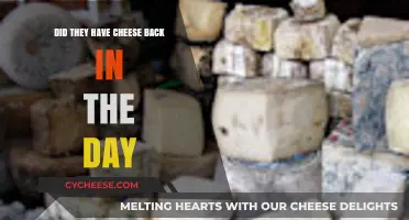 Ancient Cheese: Uncovering the Historical Roots of Dairy Delights