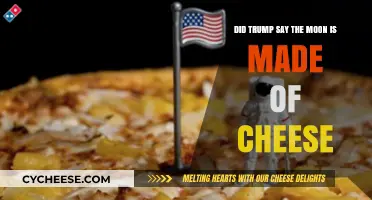 Moon Myth: Trump's Cheesy Claim Explained