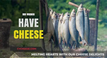 Did Vikings Have Cheese? Unraveling the Dairy Secrets of Norse Diet