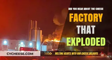 Cheese Factory Explosion: Unraveling the Melty Mystery and Aftermath