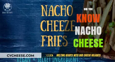 Nacho Cheese Secrets: Surprising Facts You Never Knew About This Gooey Delight