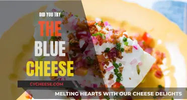 Blue Cheese: A Unique Taste Experience You Should Try