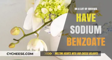 Sodium Benzoate in Cheese: How Common is This Preservative?
