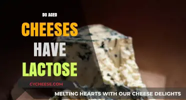 Aged Cheeses and Lactose: What You Need to Know