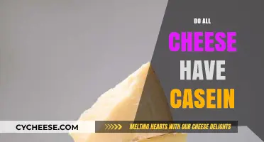 Does All Cheese Contain Casein? Uncovering the Truth About Dairy