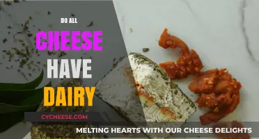 Do All Cheeses Contain Dairy? Exploring Non-Dairy Cheese Options
