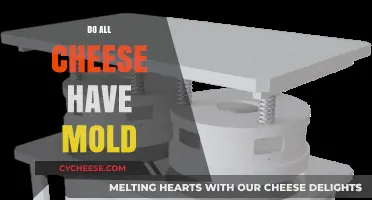 Do All Cheeses Have Mold? Uncovering the Truth Behind Cheese Production
