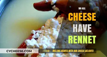 Do All Cheeses Contain Rennet? Unraveling the Coagulation Mystery