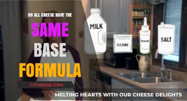 Exploring Cheese Varieties: Do All Cheeses Share a Common Base Formula?
