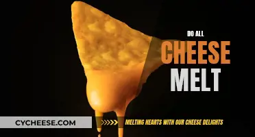 Cheese Melting: Not All Cheeses Are Created Equal