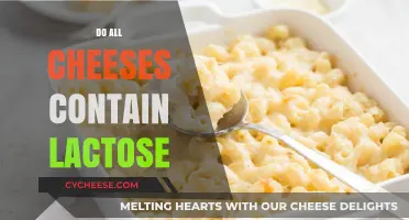 Do All Cheeses Contain Lactose? Uncovering the Truth for Cheese Lovers