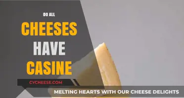 Does Every Cheese Contain Casein? Unraveling the Dairy Protein Mystery