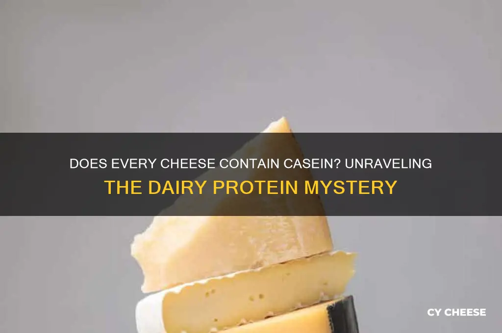 do all cheeses have casine