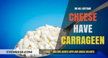 Does Every Cottage Cheese Contain Carrageenan? Uncovering the Truth