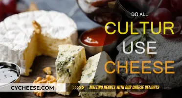 Cheese: A Universal Food or Cultural Divide?