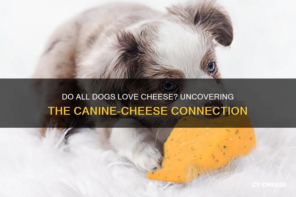 do all dogs love cheese