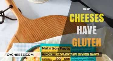 Cheese and Gluten: Uncovering the Truth About Hidden Ingredients