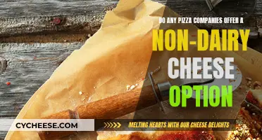 Non-Dairy Pizza: Cheesy Options for All Dietary Preferences