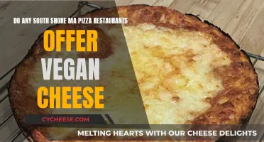 South Shore MA Pizza: Vegan Cheese Options Revealed