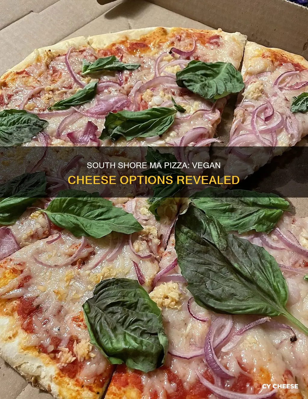 do any south shore ma pizza restaurants offer vegan cheese