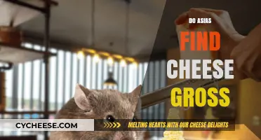 Do Asians Find Cheese Gross? Unraveling Cultural Taste Preferences