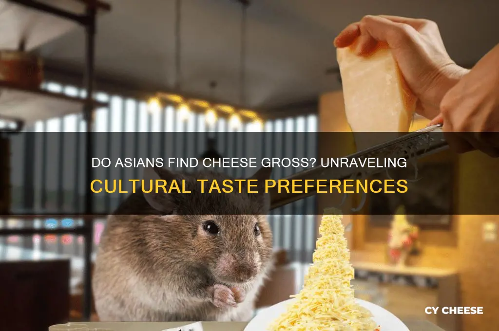 do asias find cheese gross