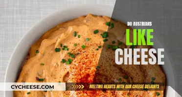 Austria's Love for Cheese: A Cultural Perspective