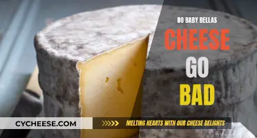 Baby Bellas Cheese: How Long Do They Last?