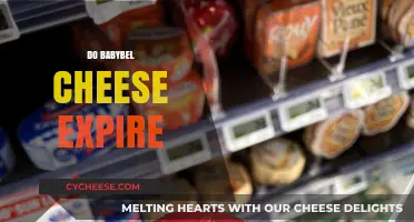 Does Babybel Cheese Expire? Shelf Life and Storage Tips Revealed