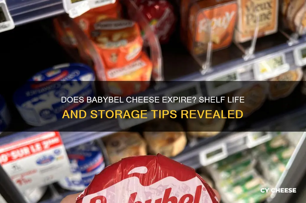 do babybel cheese expire