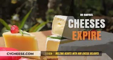 Do Babybel Cheeses Expire? Shelf Life and Storage Tips Revealed