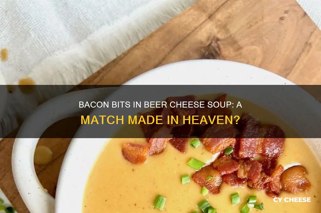 do bacon bjts go in beer cheese soup