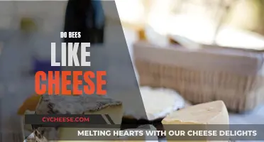 Cheese and Bees: A Tasty Treat or Not?