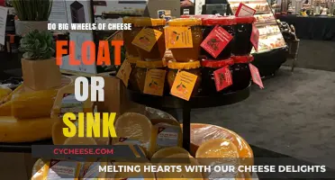 Big Wheels of Cheese: Do They Float or Sink?