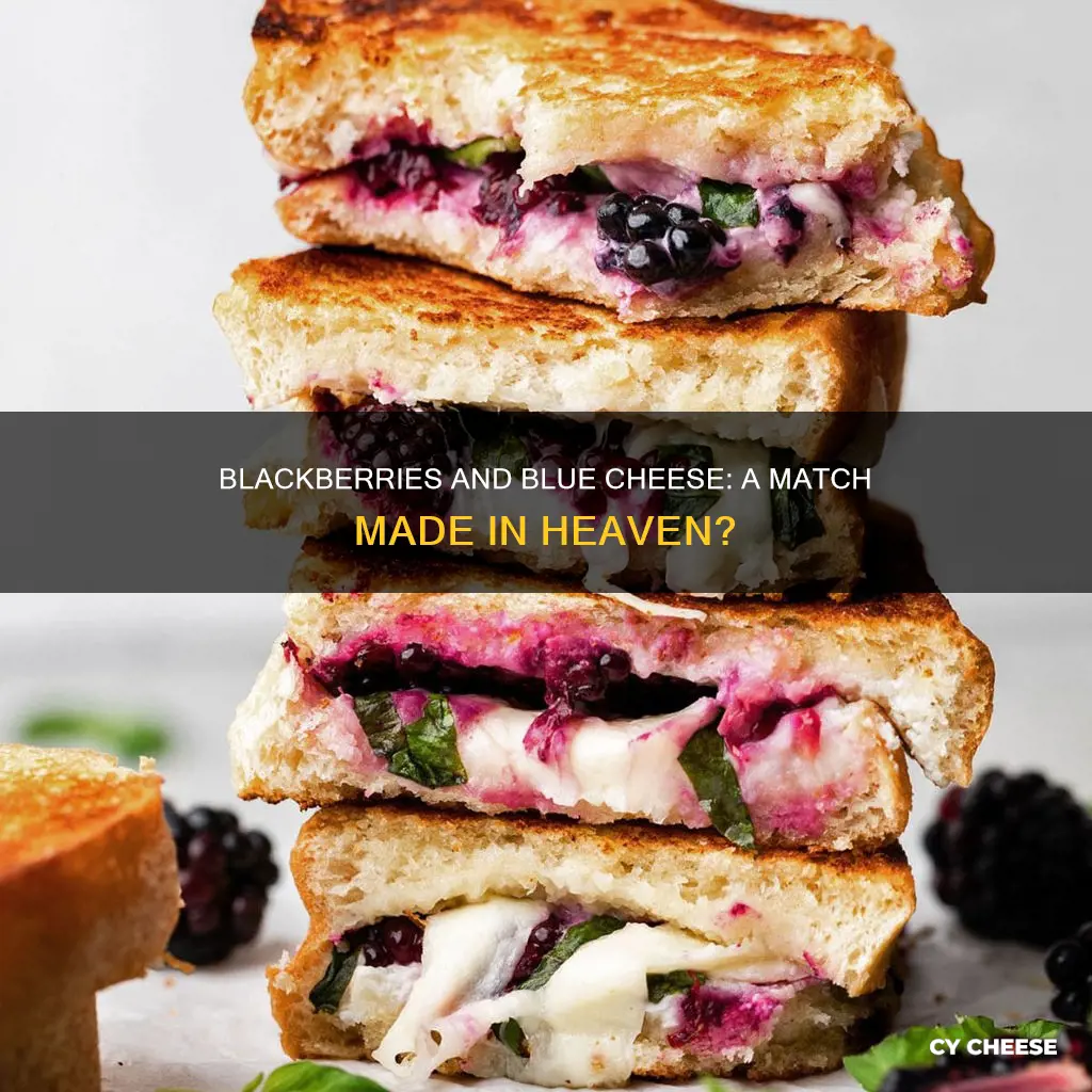 do blackberries and blu cheese mix well