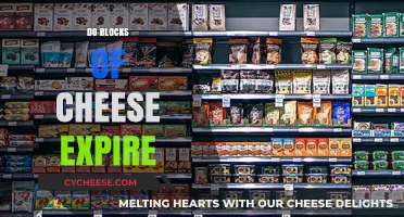 Does Cheese Go Bad? Understanding Expiration Dates on Cheese Blocks