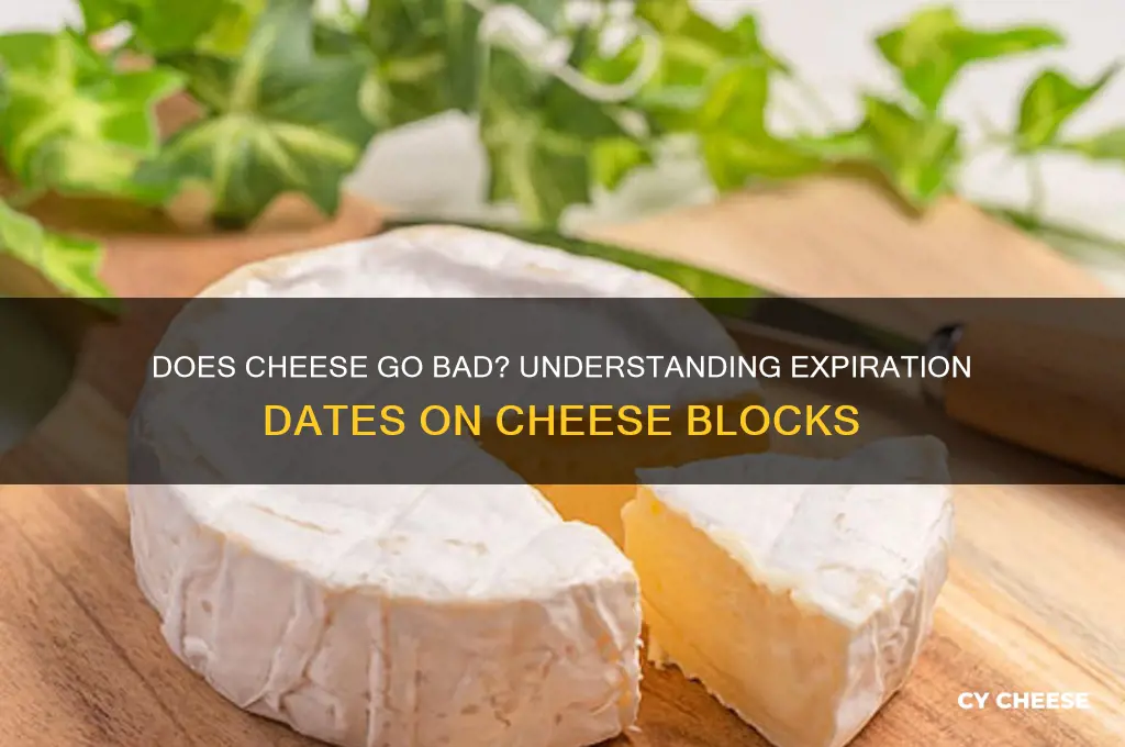 do blocks of cheese expire