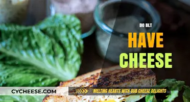 Do BLT Sandwiches Include Cheese? A Classic Debate Explored