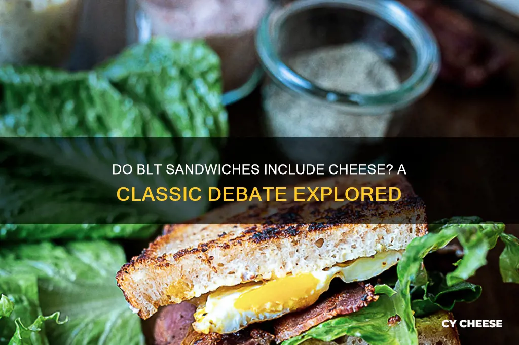 do blt have cheese