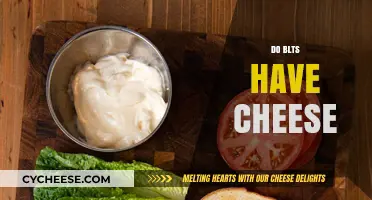 Do BLTs Have Cheese? Debunking the Classic Sandwich Myth