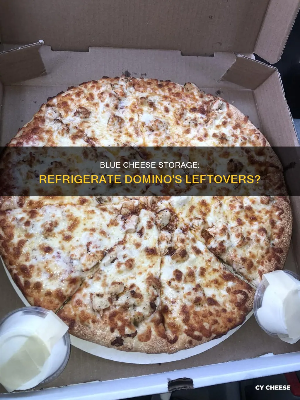 do blue cheese from dominos need to be refrigerated