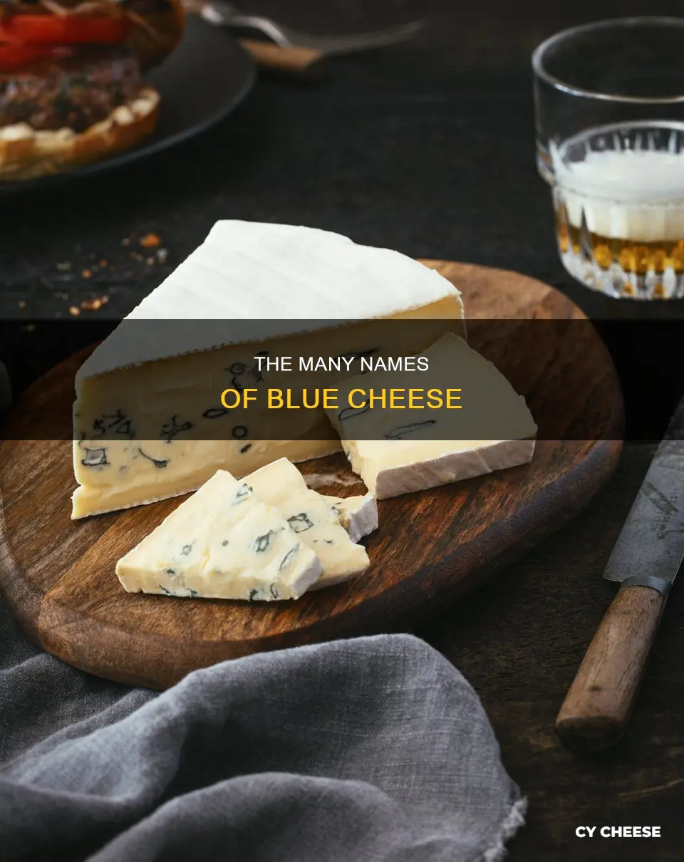 do blue cheese have other names