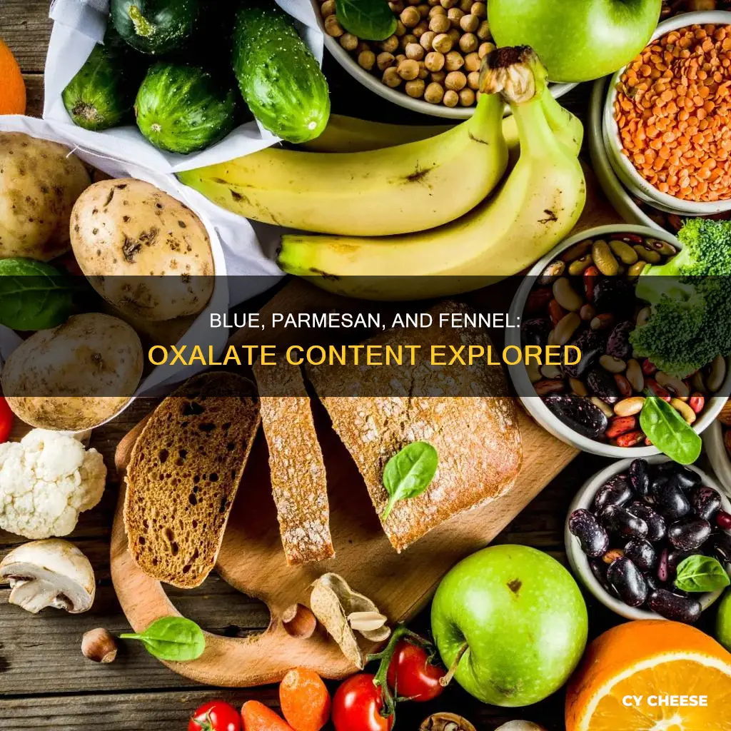 do blue cheese parmasan cheese and fennel have oxalates