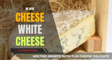Blue Cheese and White Cheese: What's the Difference?