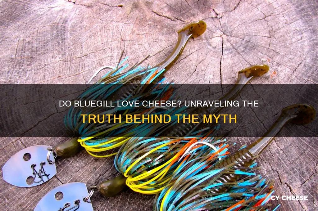 do bluegill love cheese