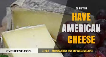Do British Have American Cheese? Exploring UK Cheese Preferences