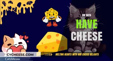 Can Cats Eat Cheese? Exploring Feline Diets and Dairy Safety