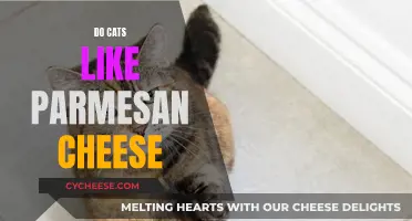 Can Cats Eat Parmesan Cheese?