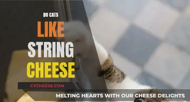Cheese Strings: Cats' Favorite Snack?